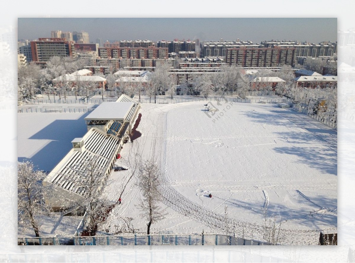 雪后校园图片