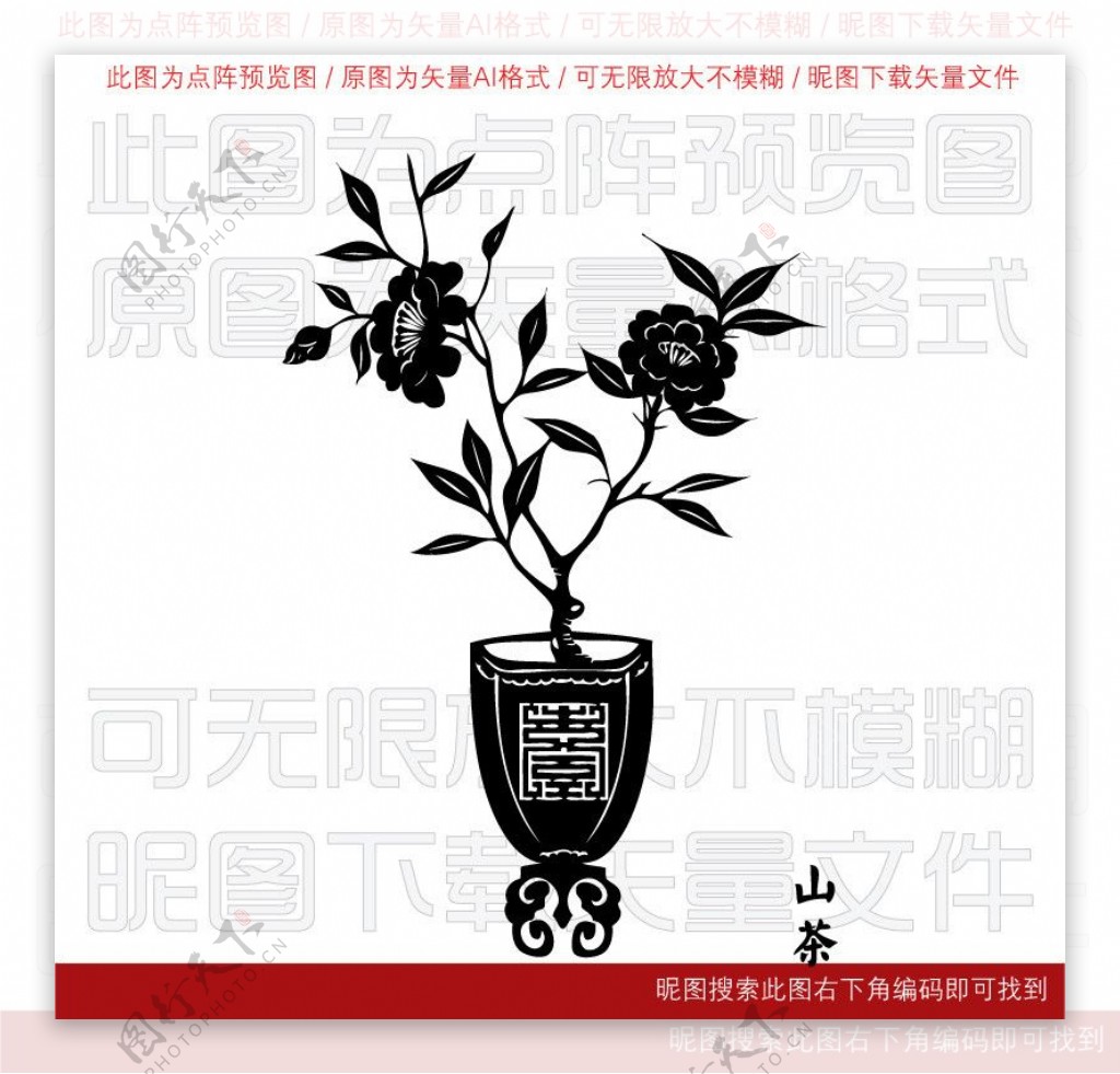 山茶花图片