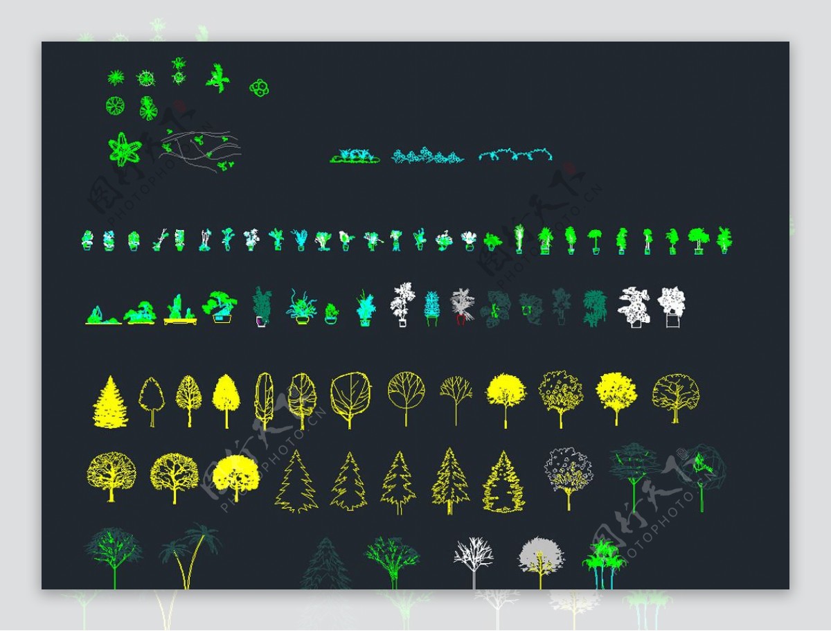 园林设计树木盆栽CAD立面图图片