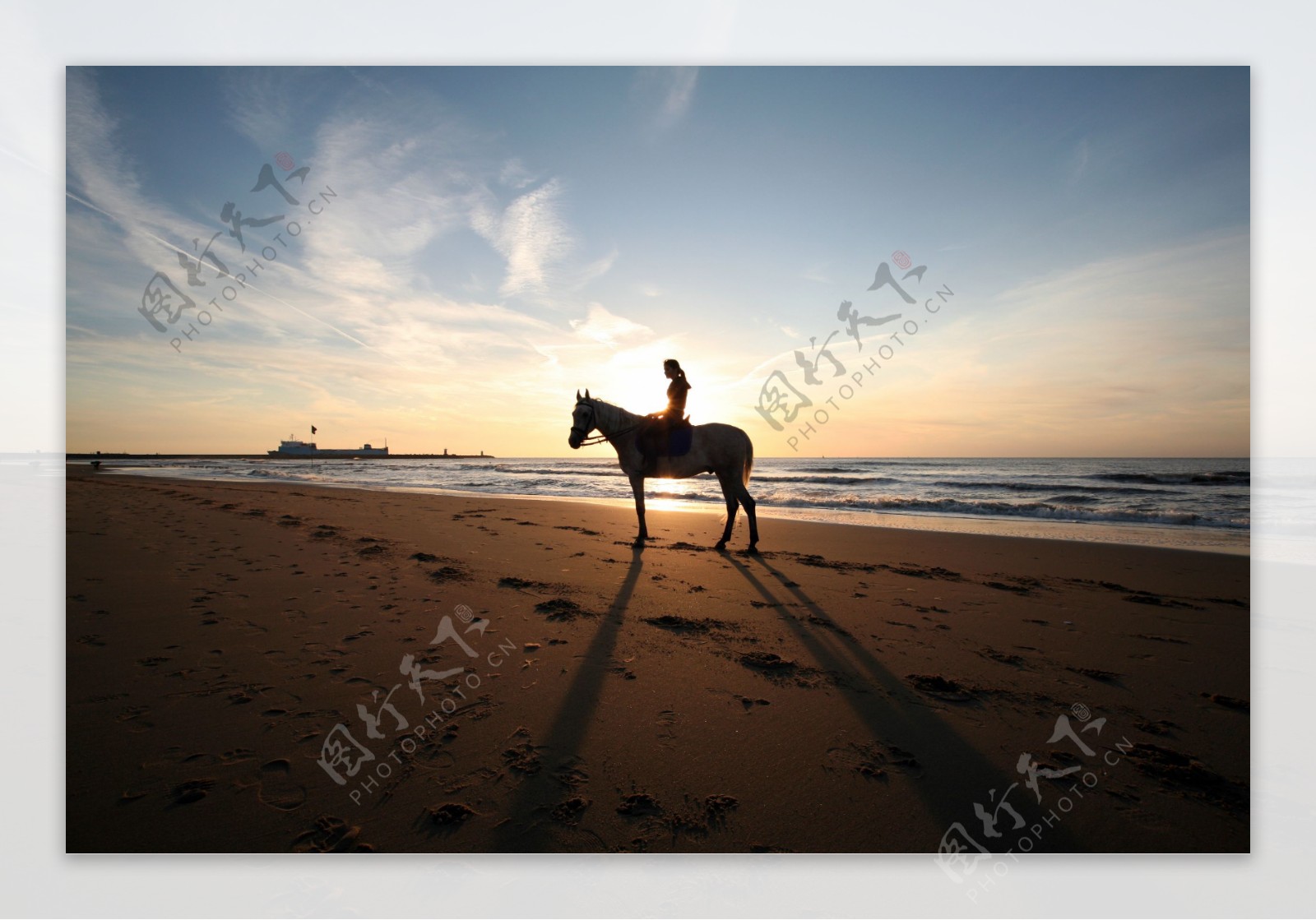 大海沙滩骑马图片