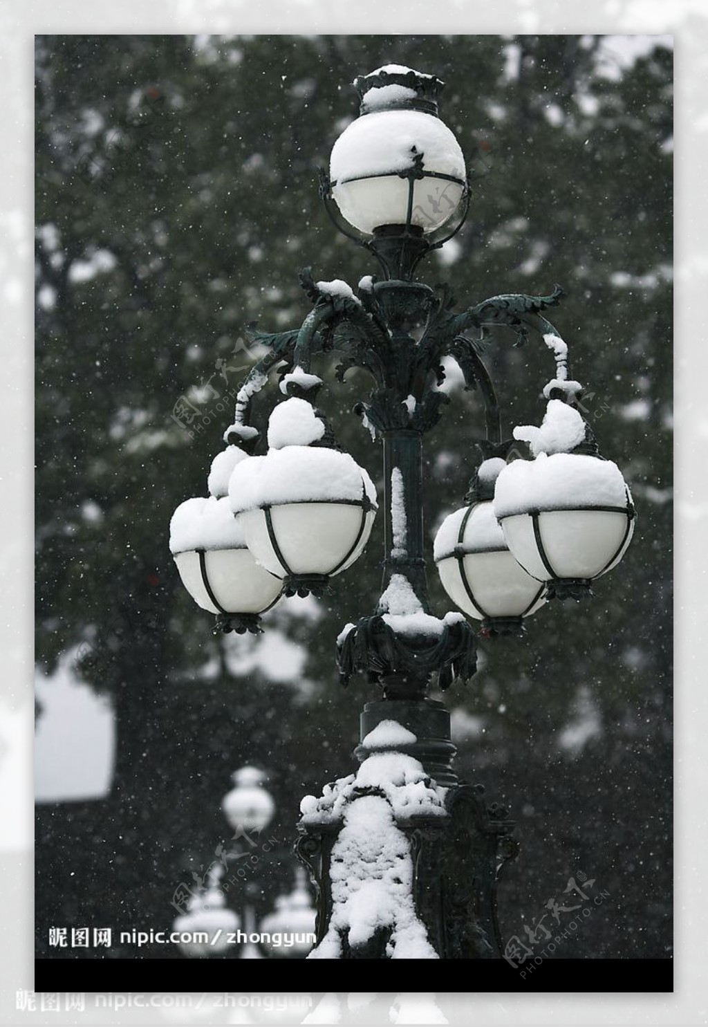 覆盖白色积雪的路灯图片
