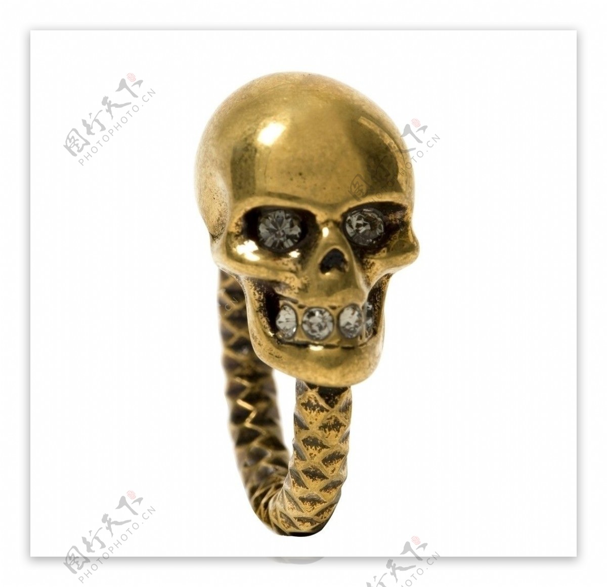 黄铜骷髅戒指图片