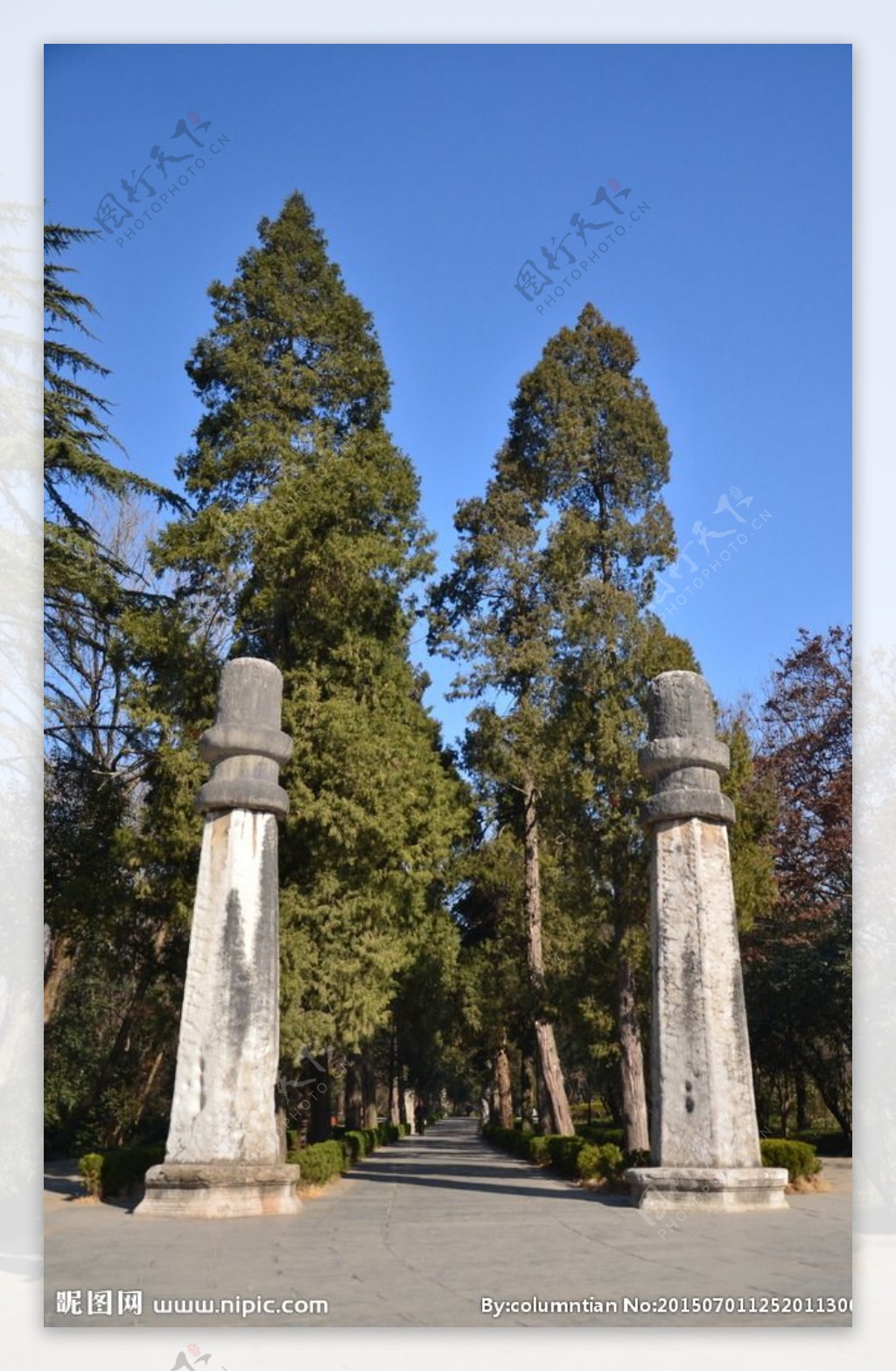 明孝陵神道石柱图片