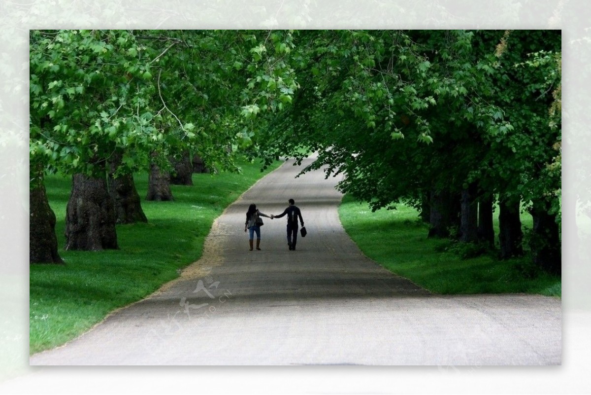 林荫小路情侣散步绿树树林树丛图片