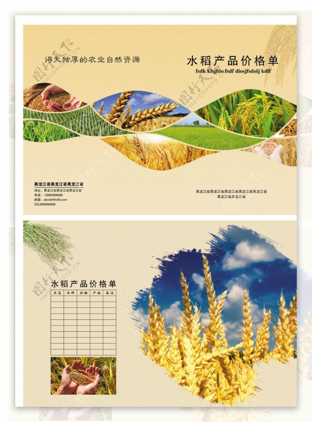 水稻大米粮油画册图片