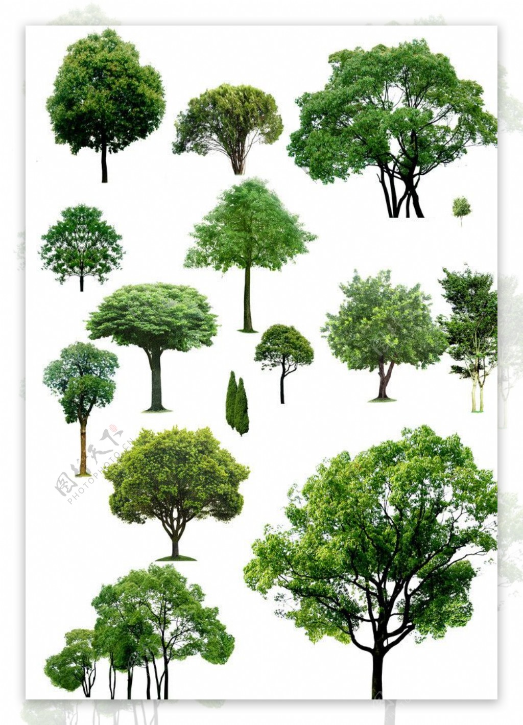 绿树合集图片