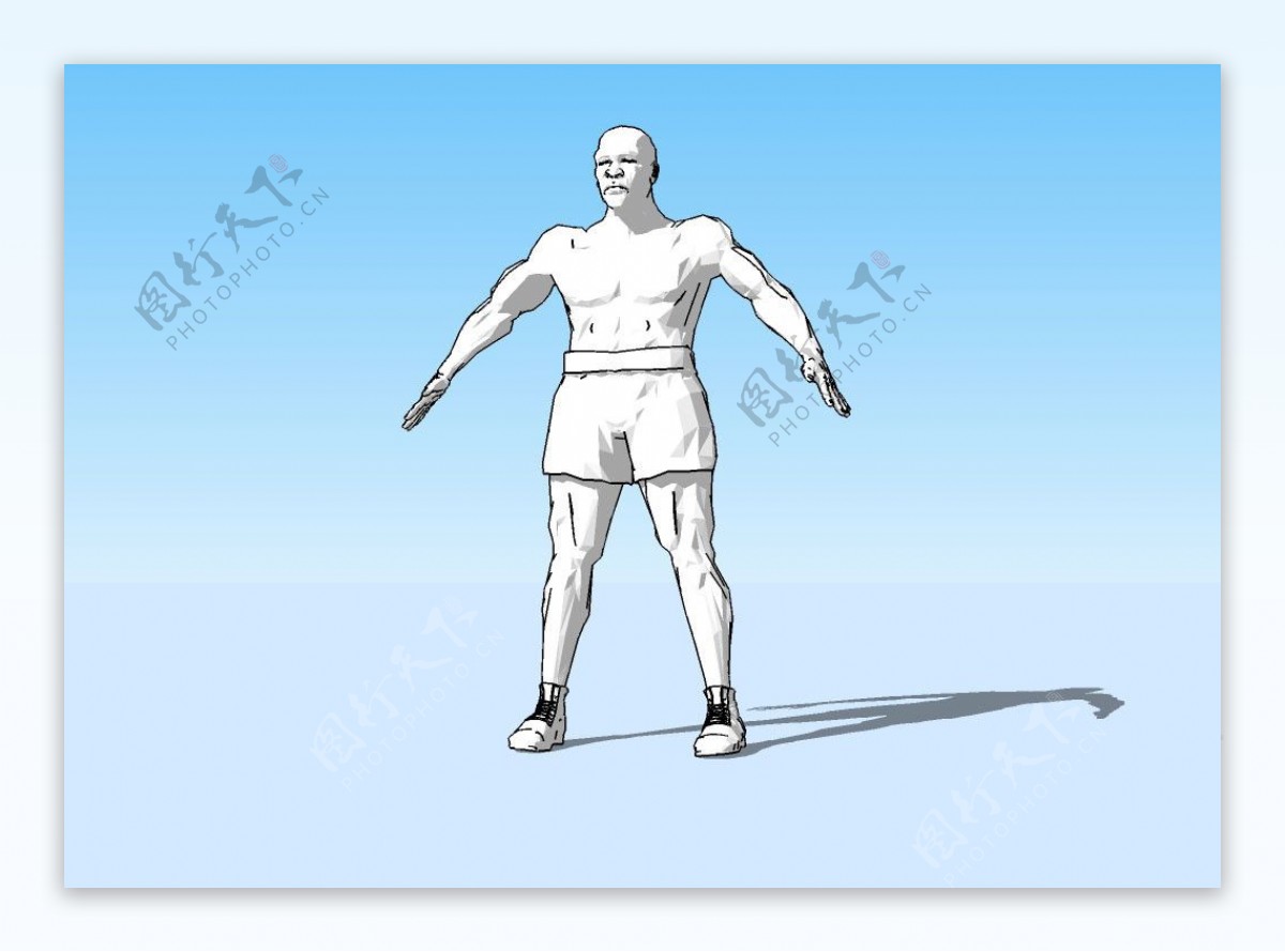 拳王人体3D模型图片
