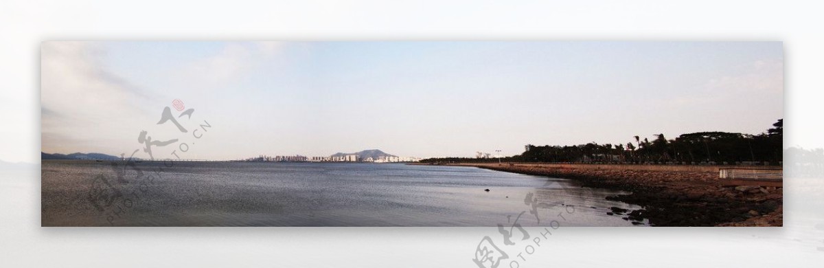 深圳红树湾图片