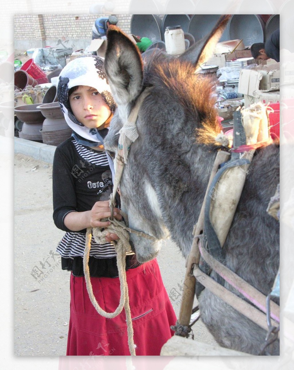 新疆维吾尔族小女孩和小毛驴图片