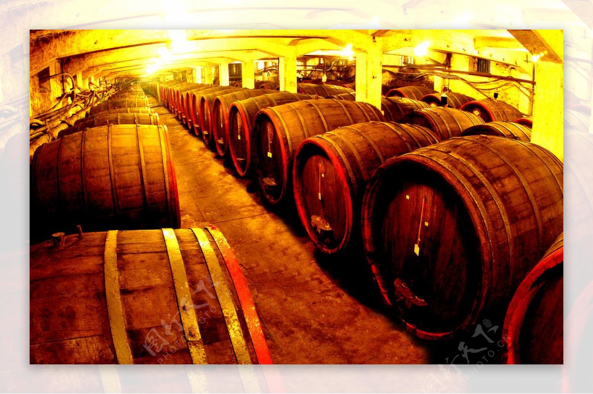 葡萄酒厂图片