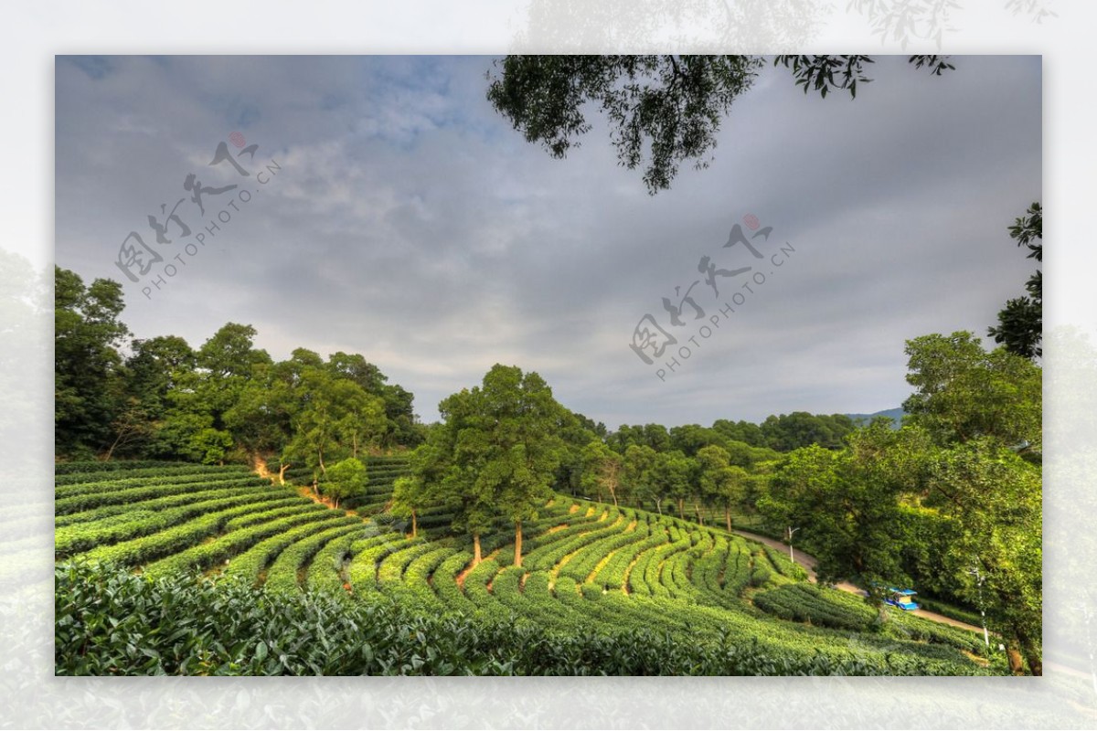 东部华侨城茶溪谷图片