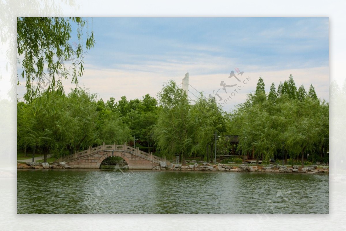 小桥公园湖水柳树图片