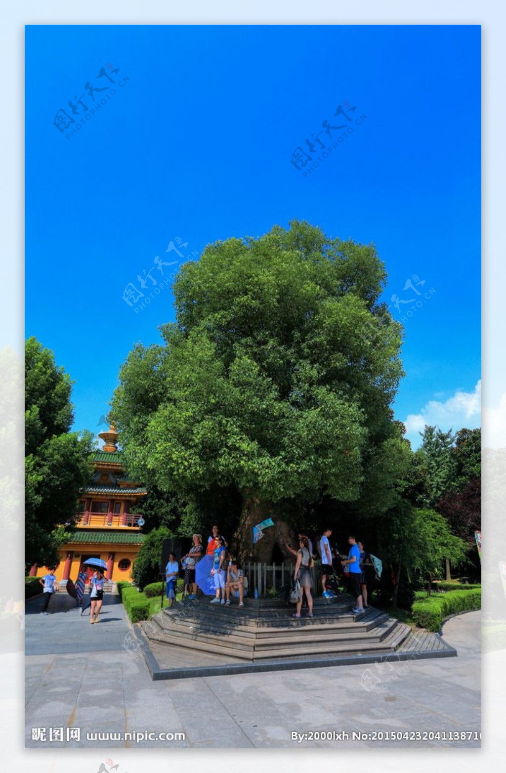 东方文化园图片