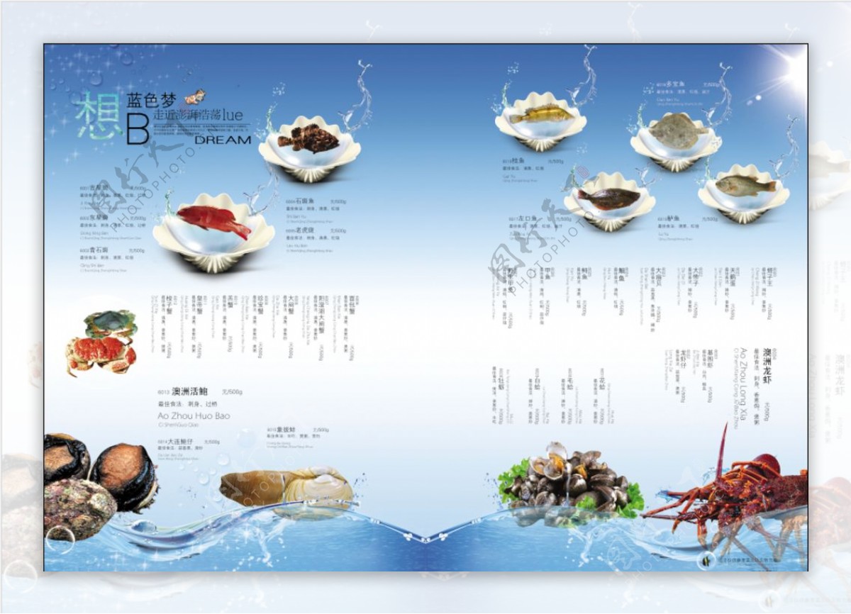 海洋鲜活菜单图片