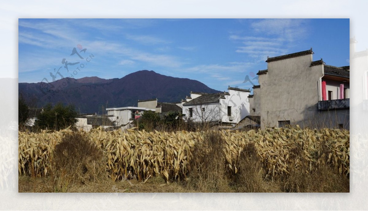 西递宏村美景图片