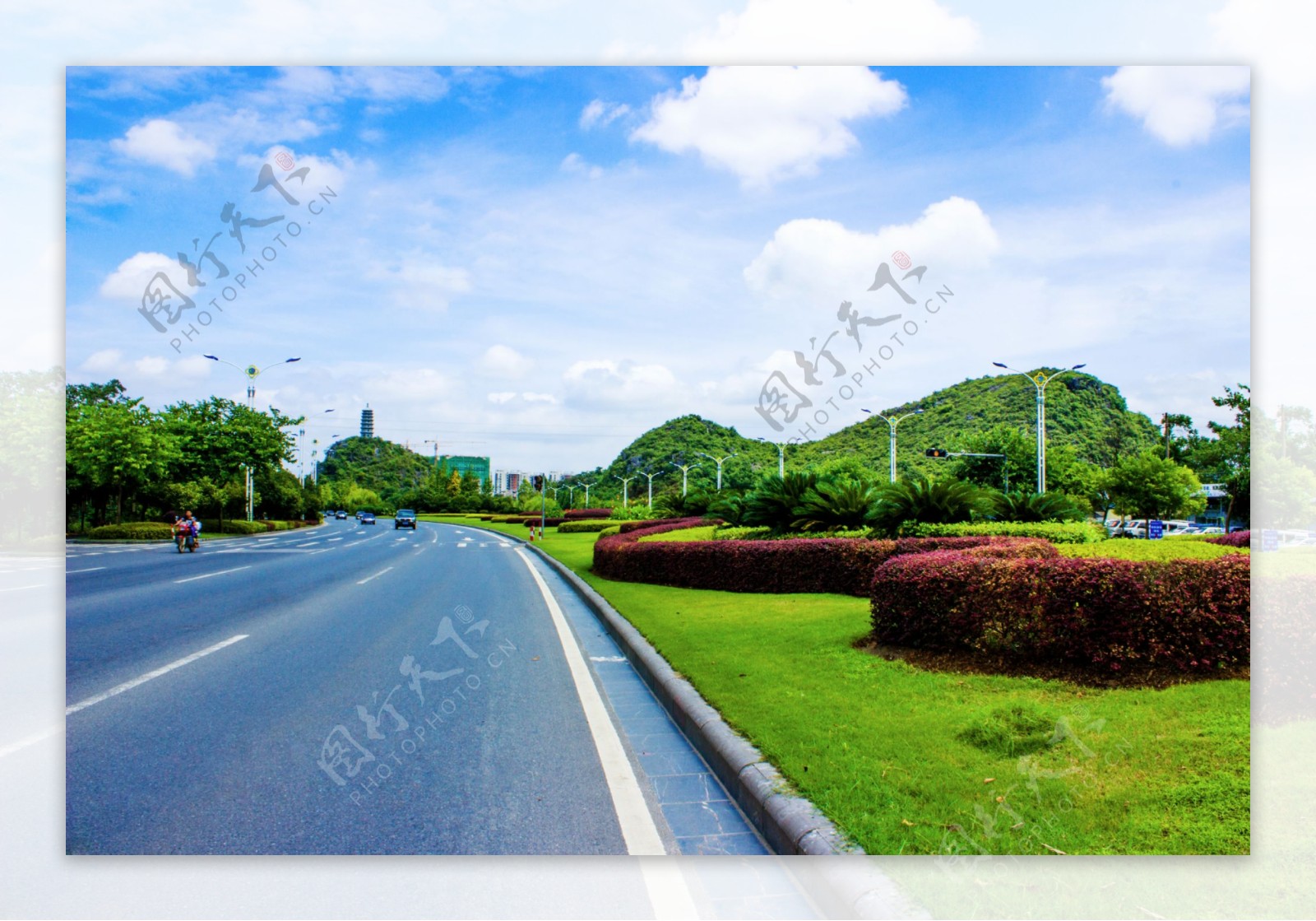 琴潭公路绿化带青草地图片