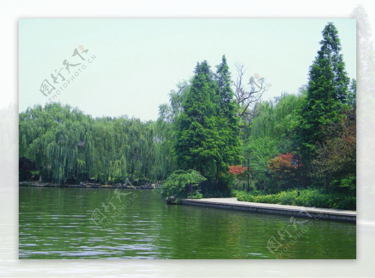 大明湖畔自然风景图片