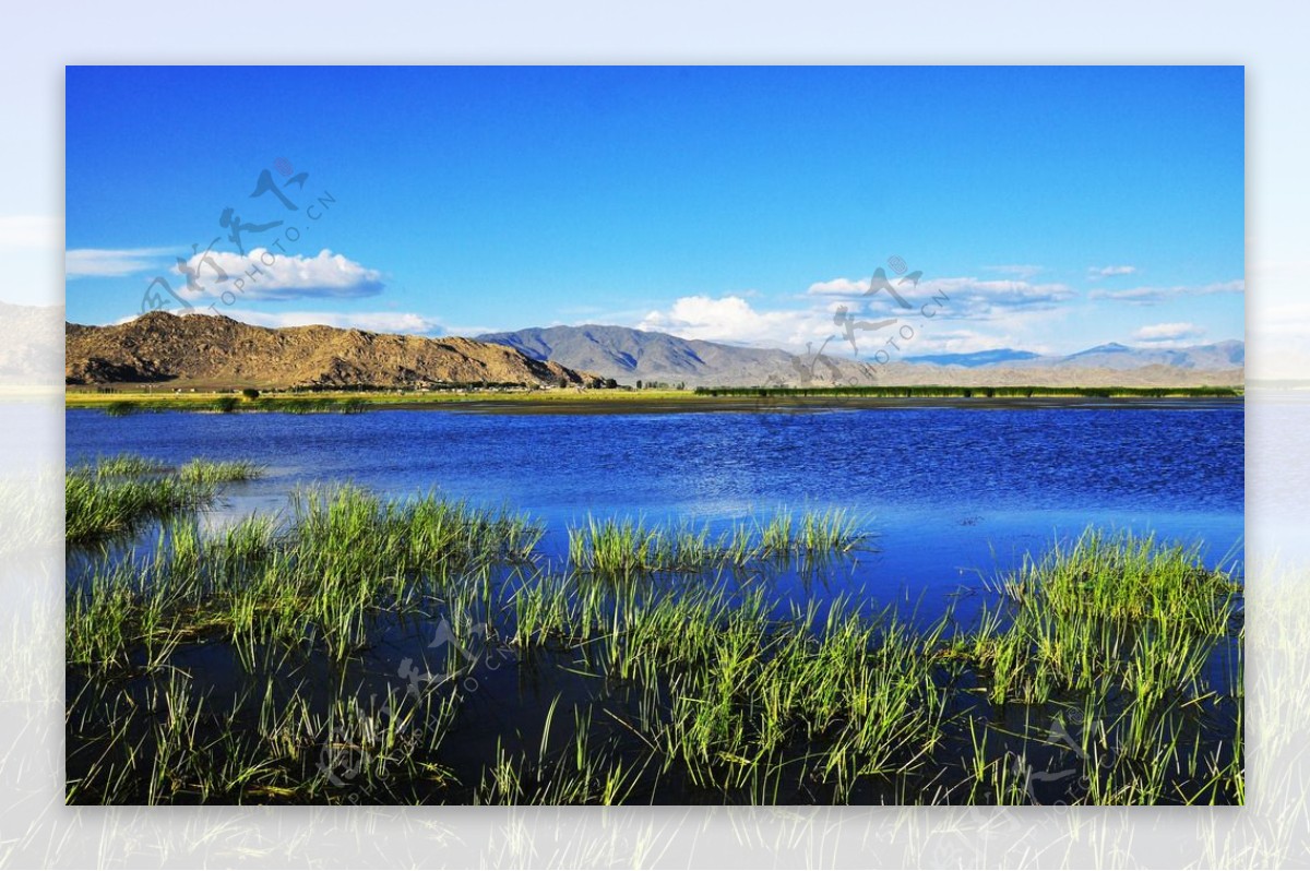 新疆可可苏里湿地图片