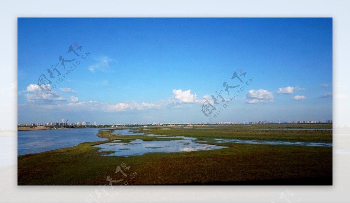 哈尔滨湿地图片