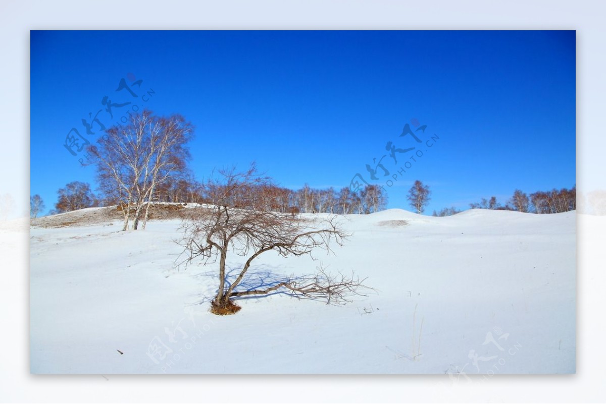 雪地图片