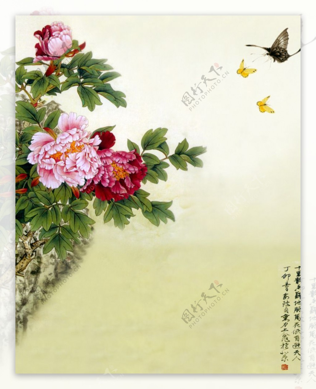 中国水彩画姹紫嫣红菊花盛开图片