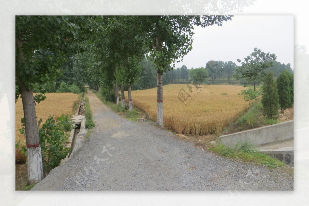 登封乡村景色图片