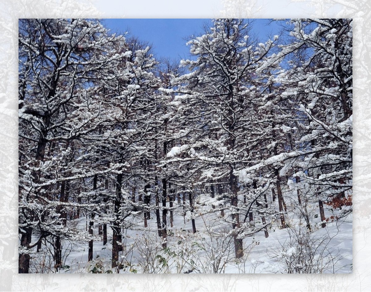 大雪迷幻图片