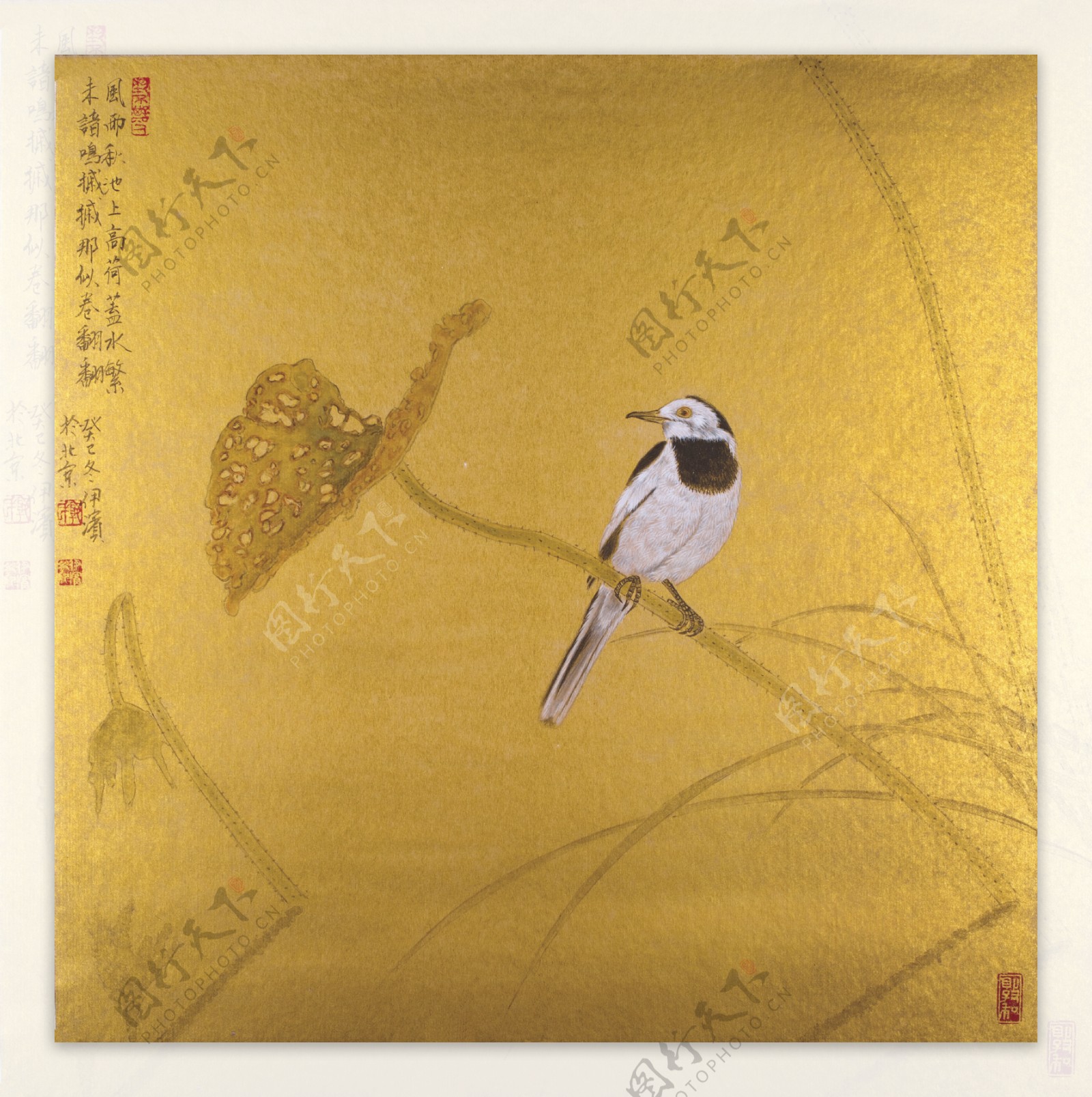 中国画工笔花鸟画图片