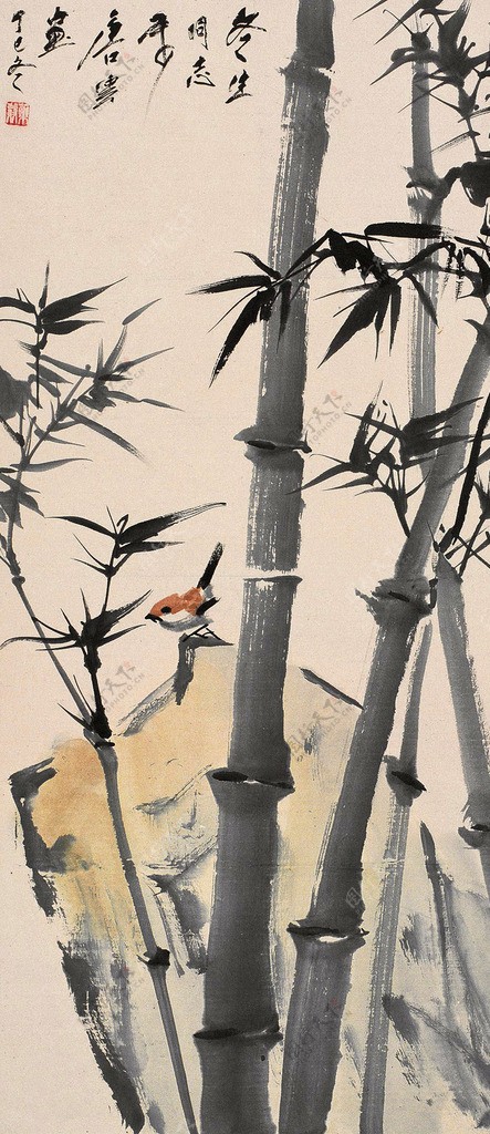 竹石翠鸟图片