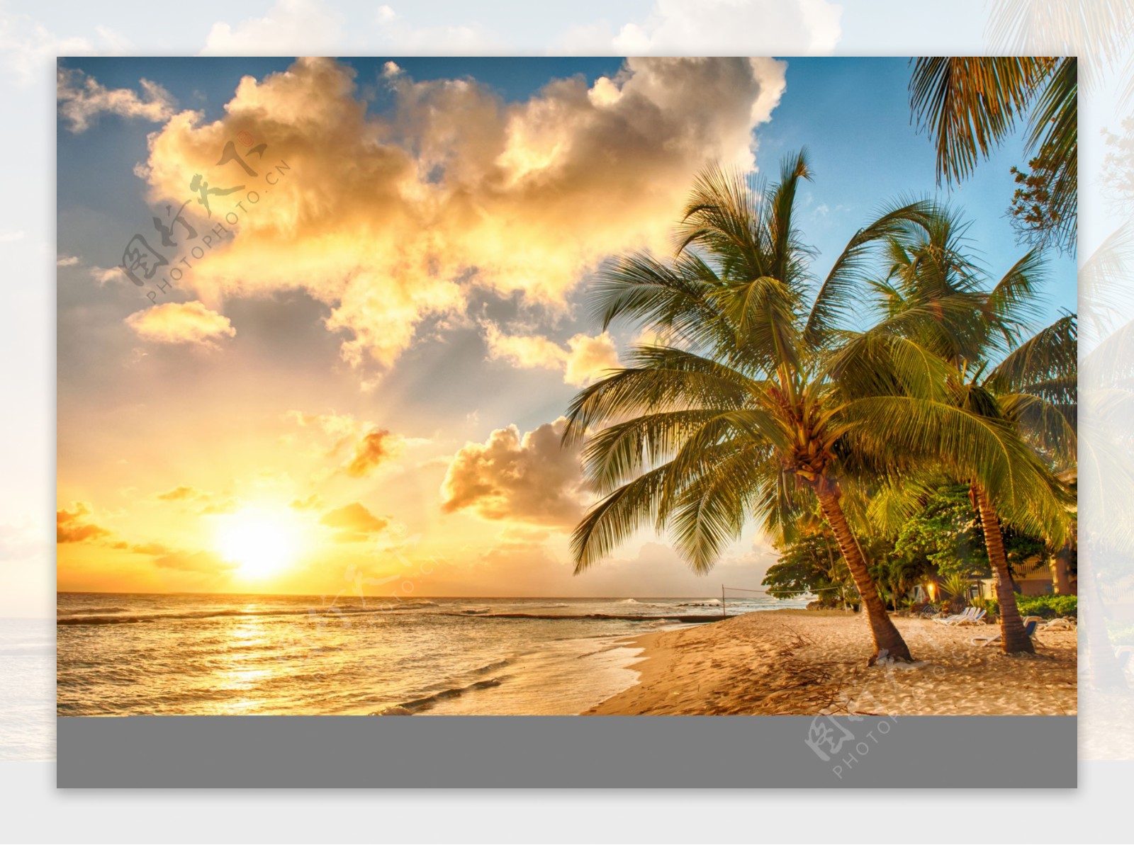 海边日出椰子树图片