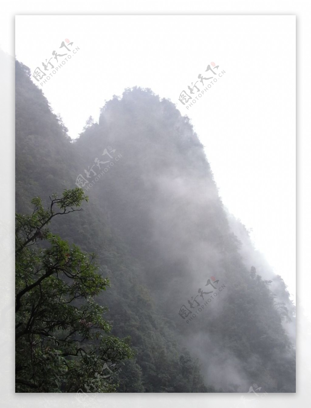 峨眉山云雾图片