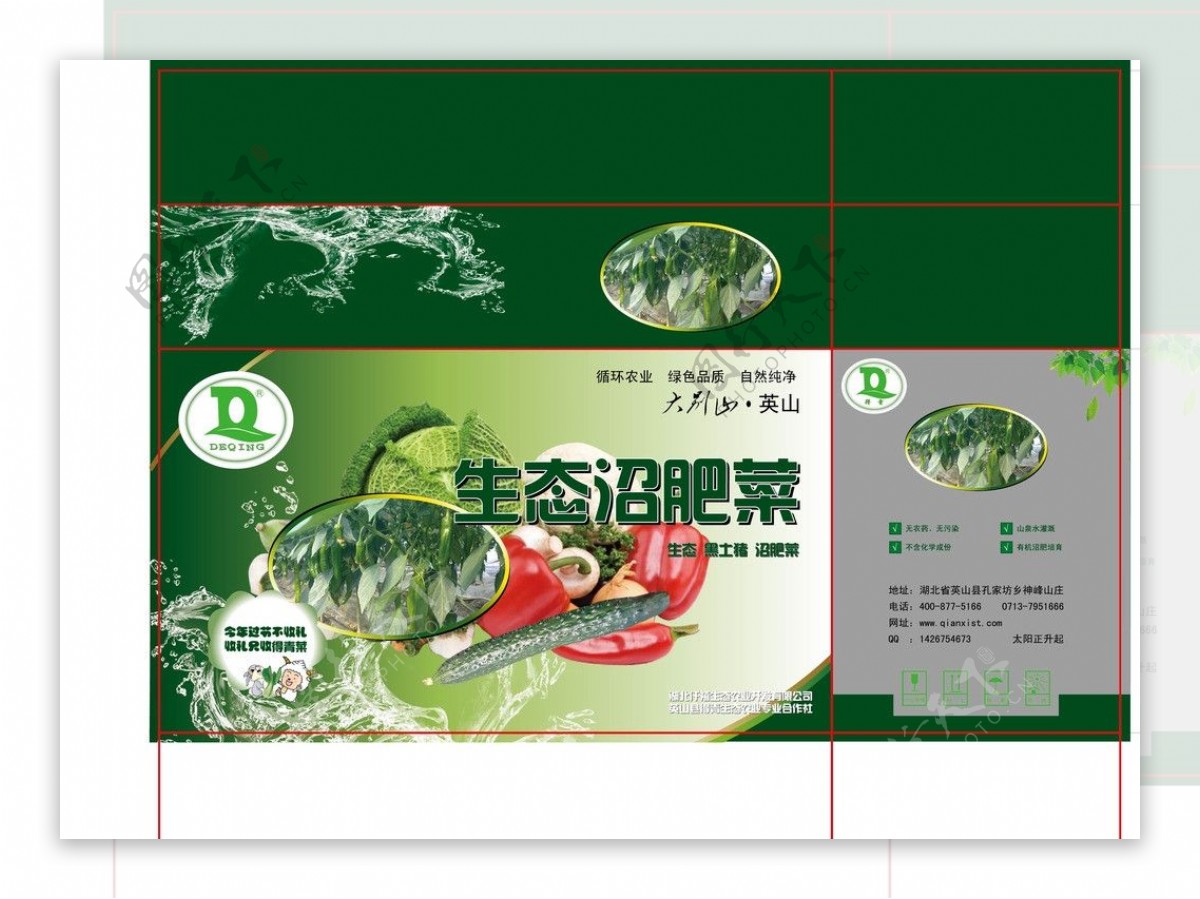 蔬菜彩盒图片