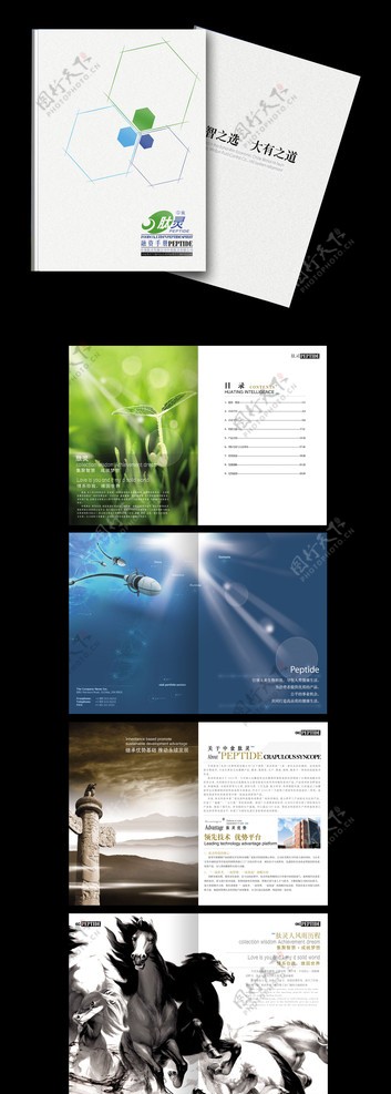 生物制药公司高档画册设计图片