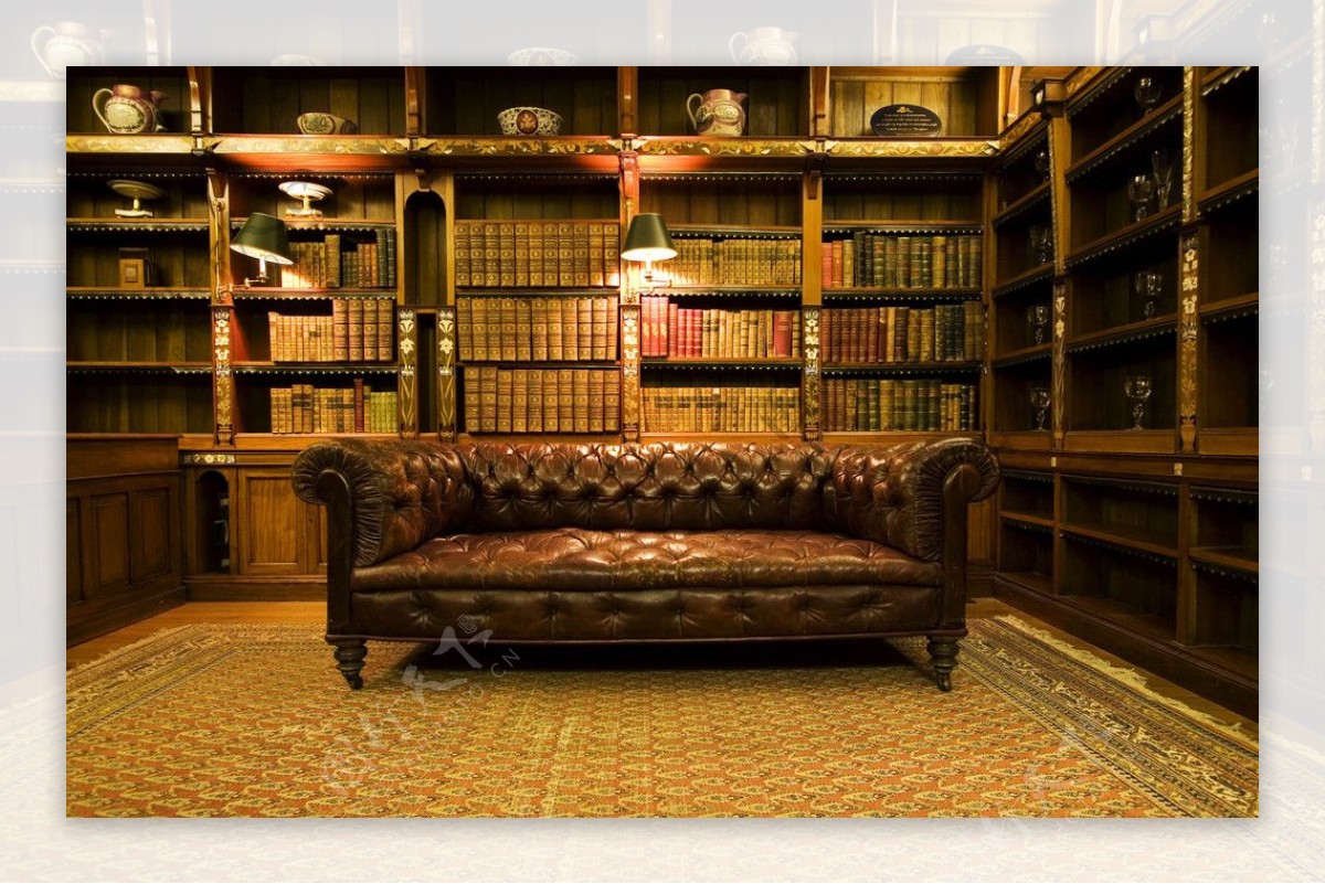 古典沙发书架图片