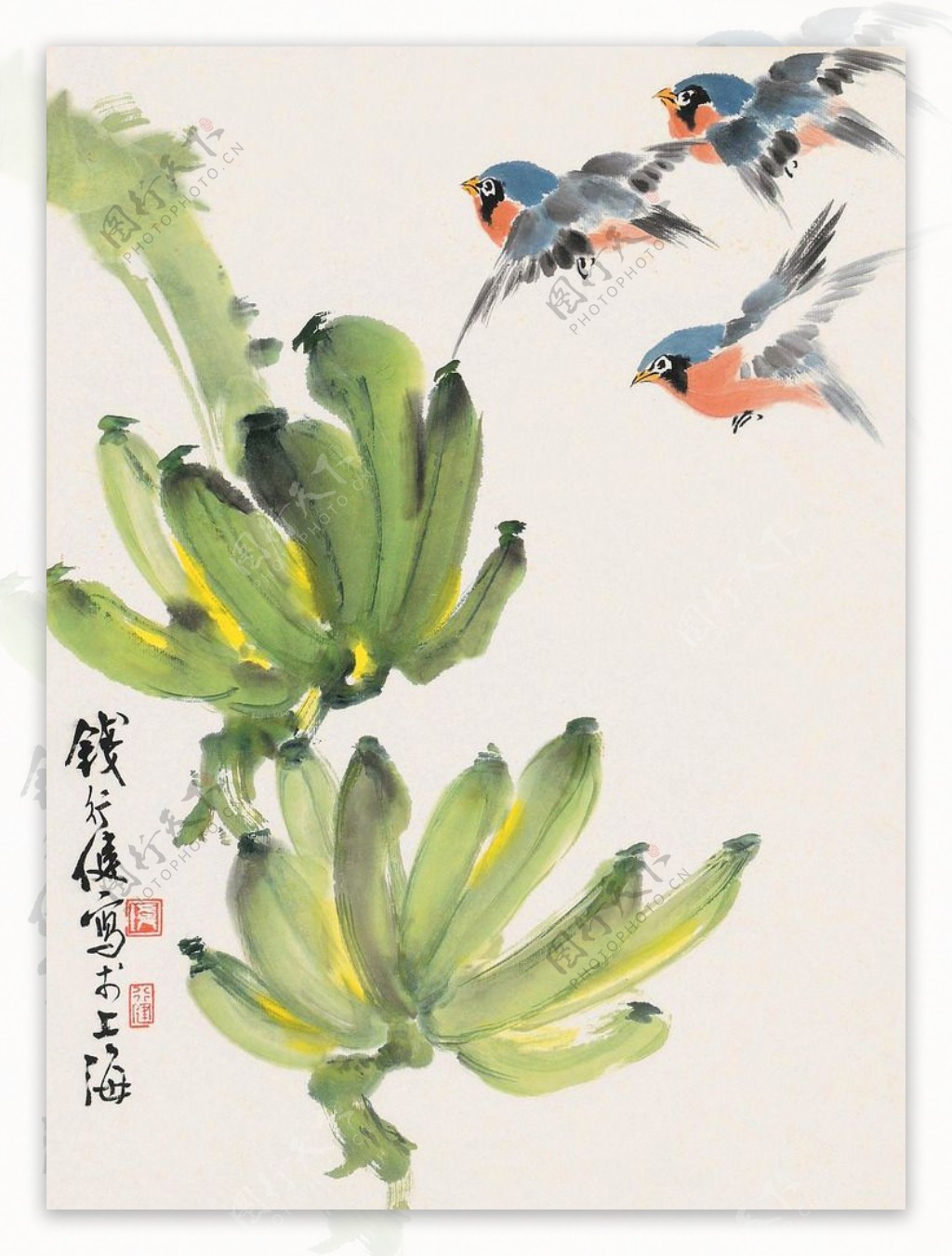 芭蕉小鸟图片