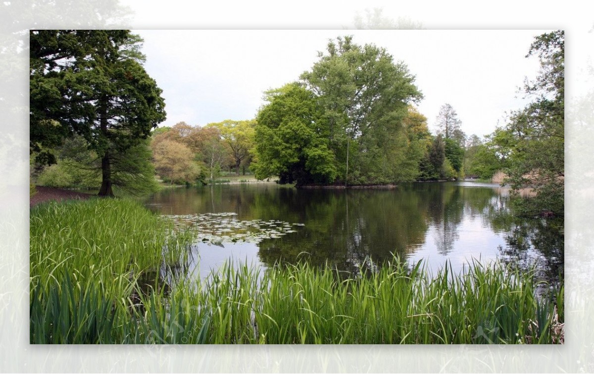 英国皇家植物园图片