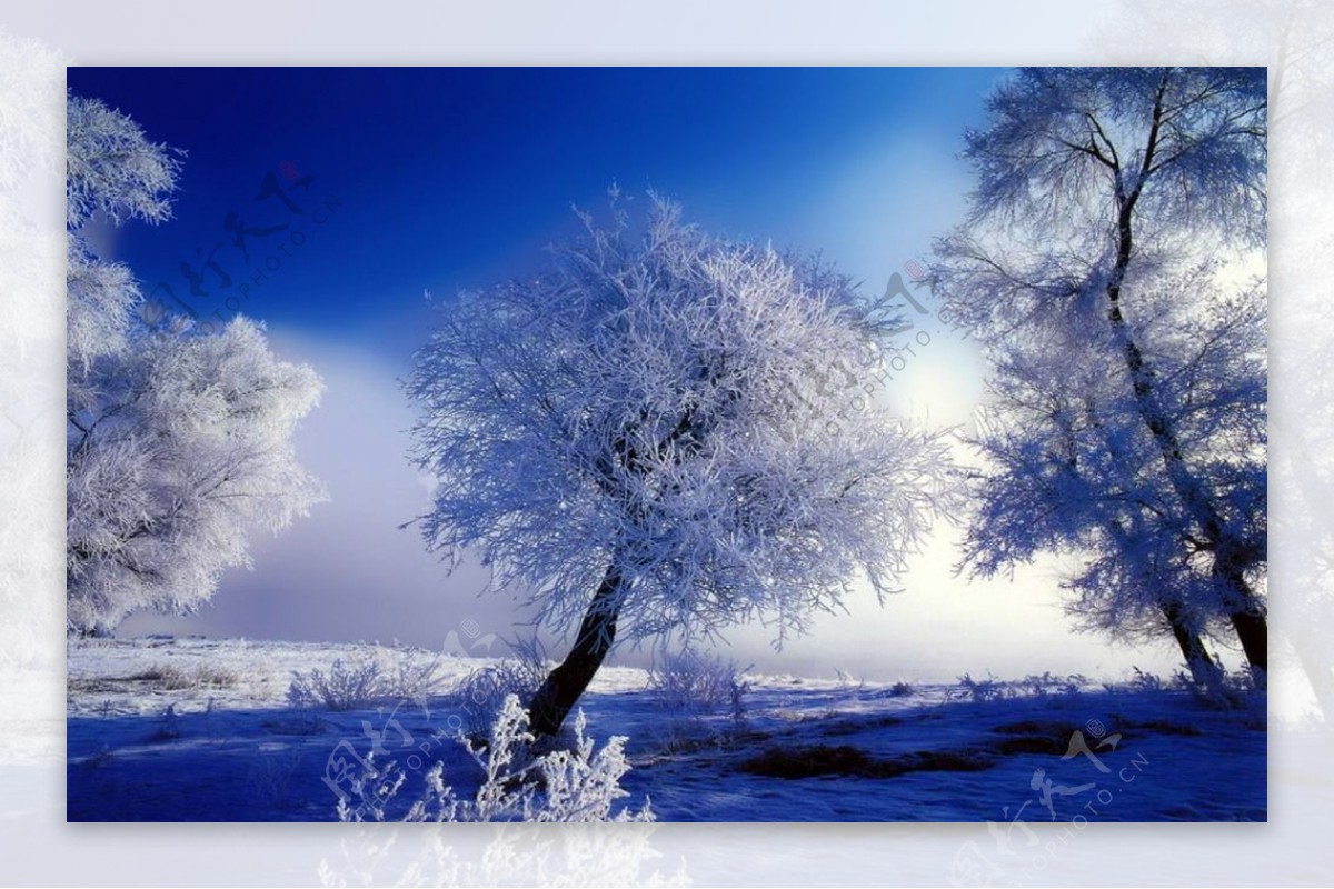 雪景图片