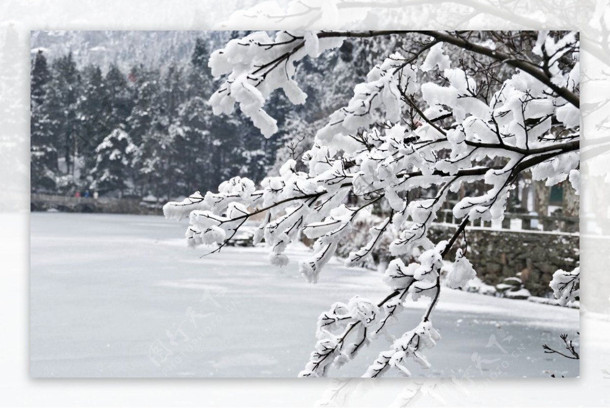 庐山雪景图片