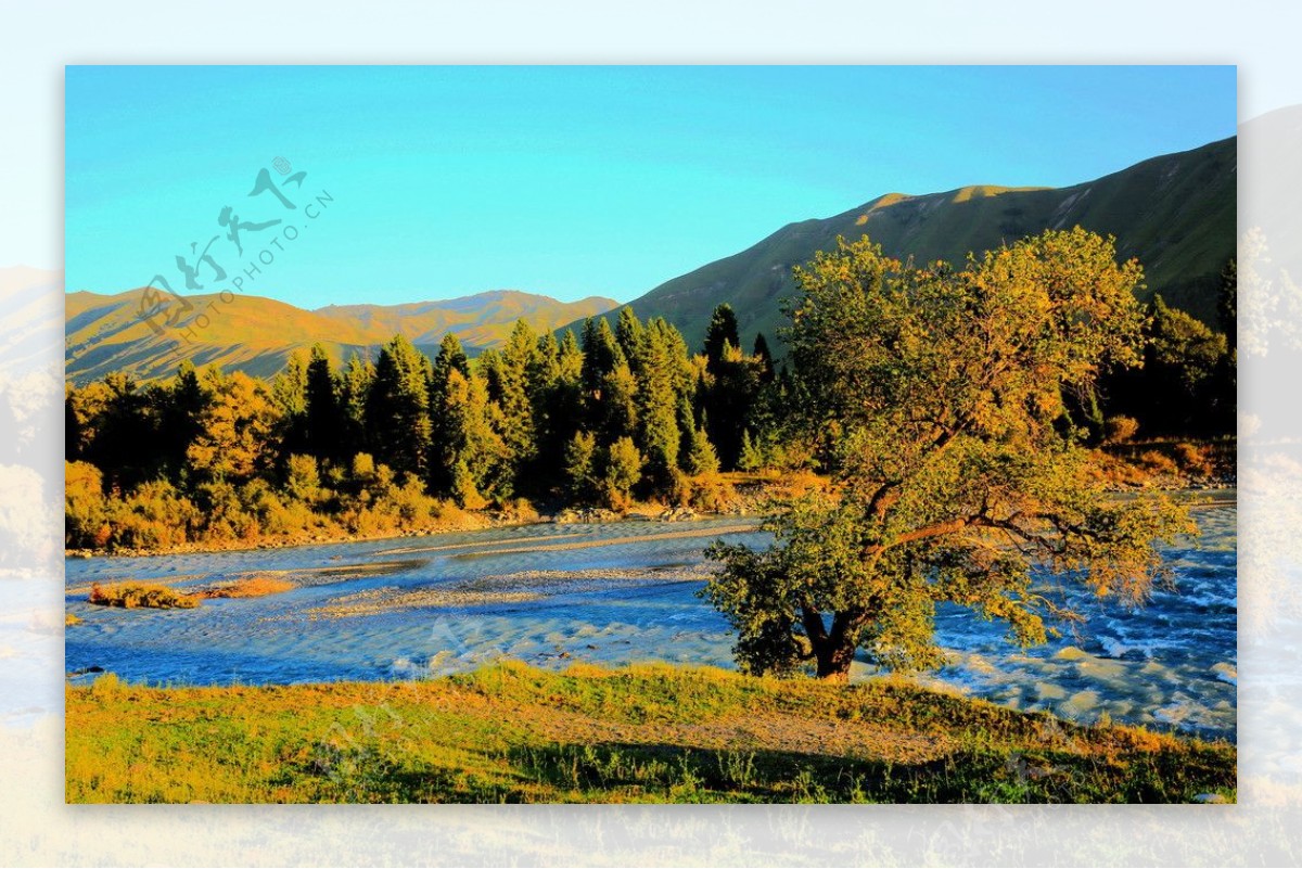 新疆尼勒克县：秋色斑斓 层林尽染_生态
