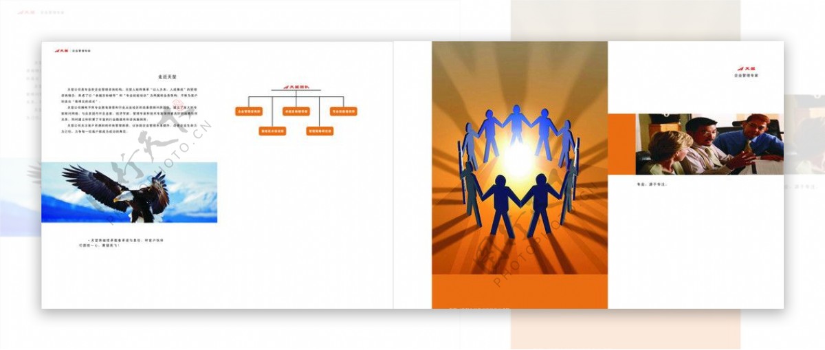 天堃企业折页图片