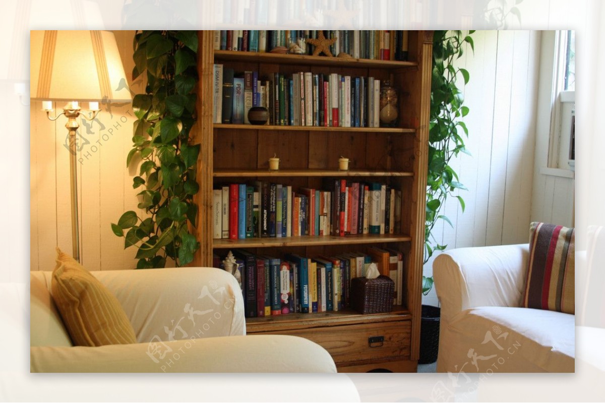 书房书架书落地灯沙发白色暖调窗台图片