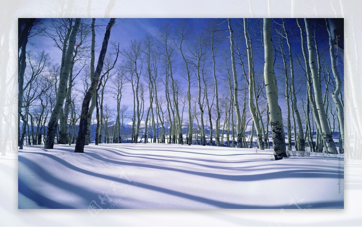 雪地雪山与树林美景图图片