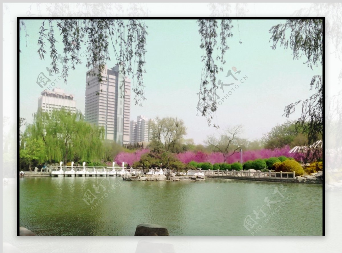 济南泉城公园图片