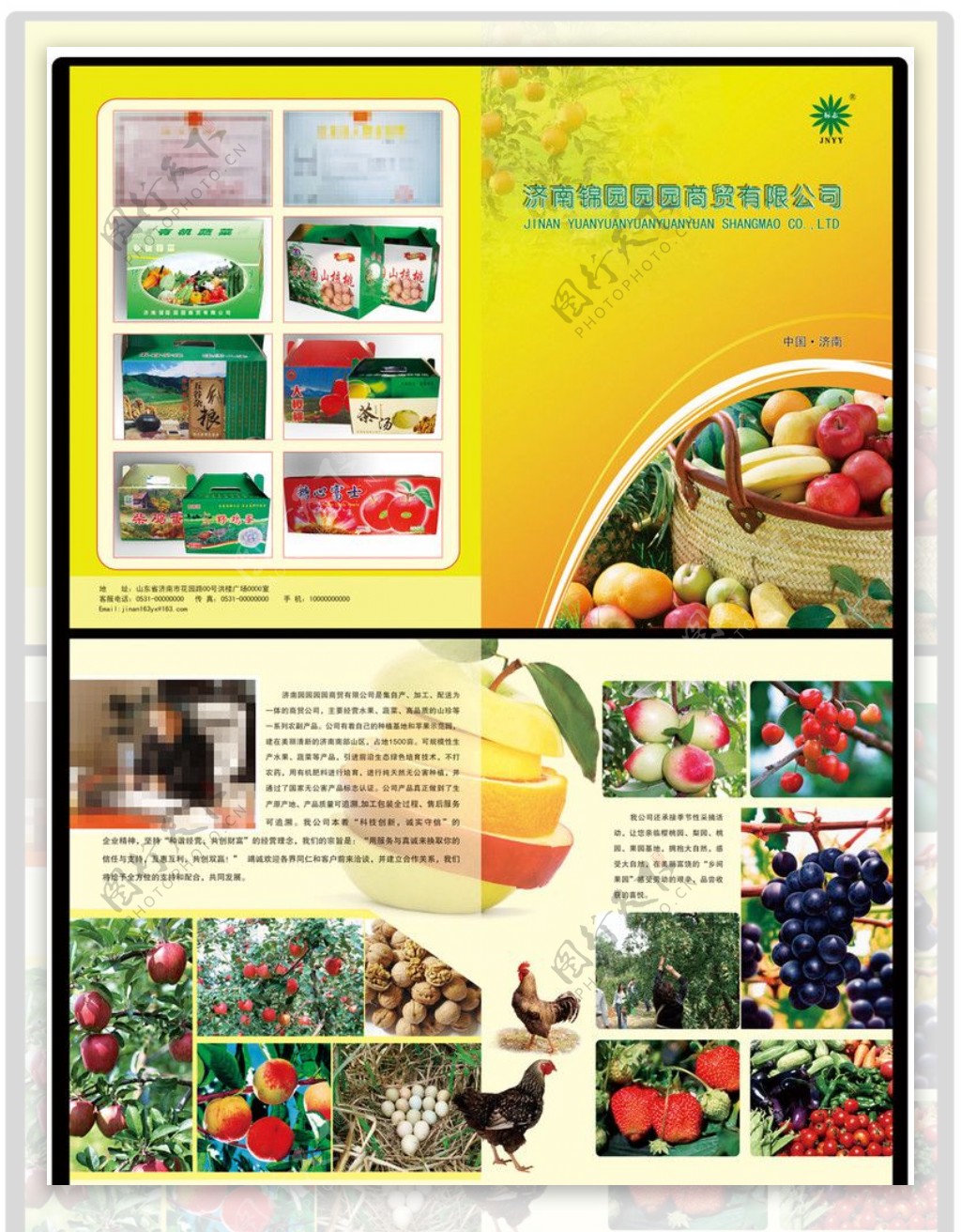 水果宣传单页图片