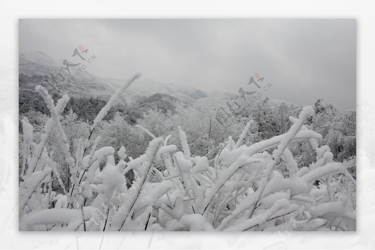 雪景图片