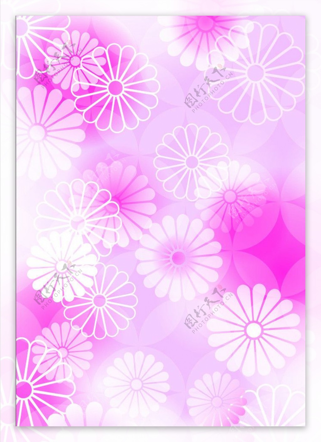 粉色梦幻花朵图片