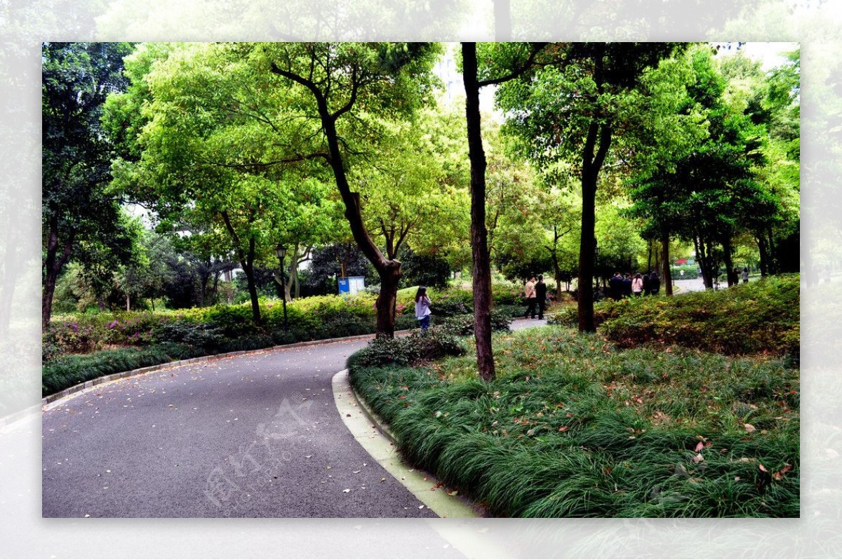 上海市中心绿地图片