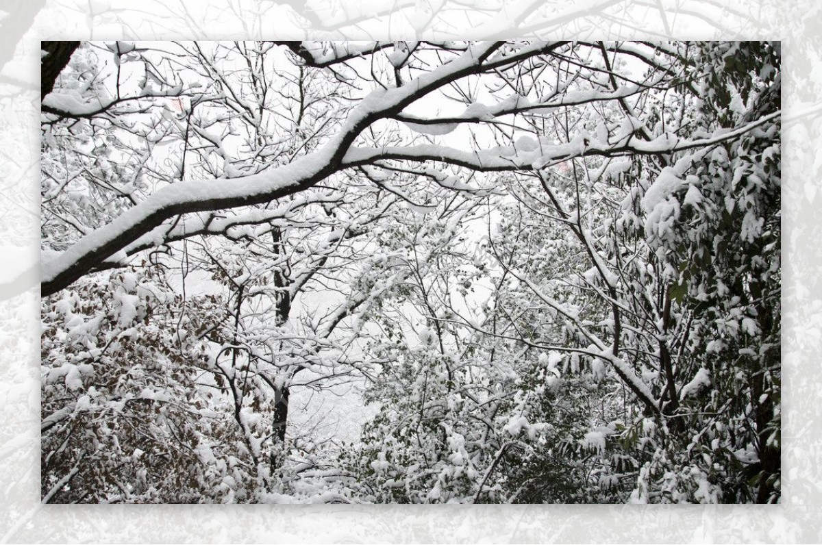 雪景图片