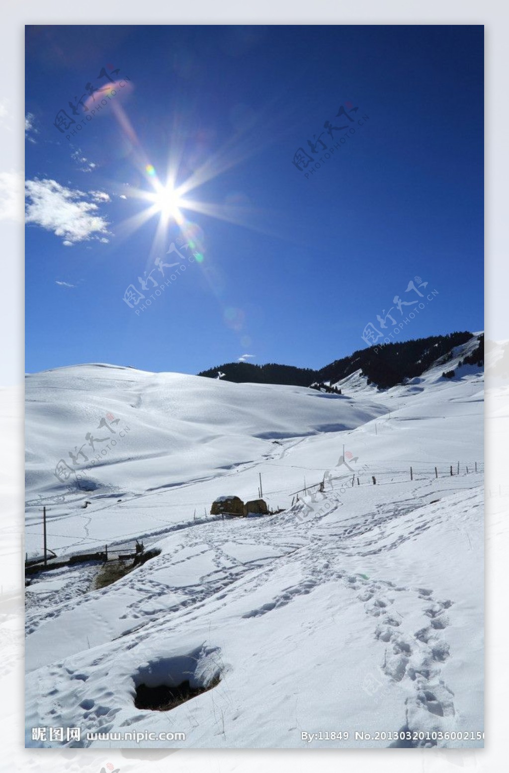 新疆冬日雪景图片