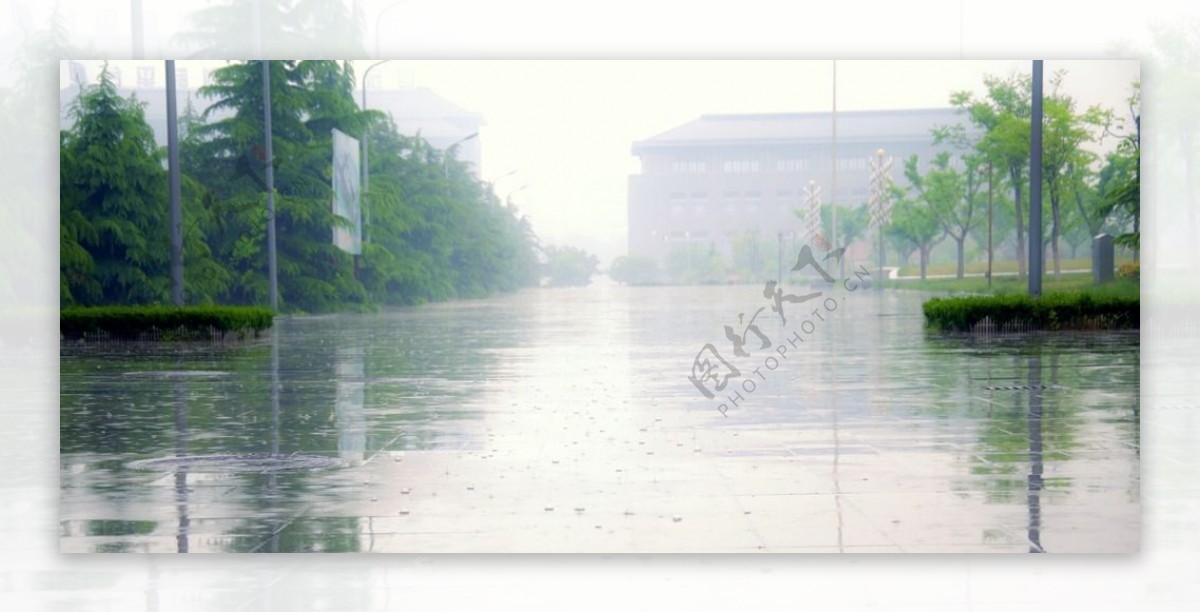雨中校园图片